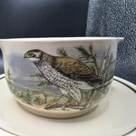 Vintage Cp Colditz Gdr East Germany Bird Hawk Soup Bowls And Saucers Set Of 2. Fixed Price $25.00.