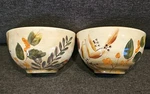 Home Trends Shadowwood Tan Stoneware Leaves Flowers 2 - 6.5" Soup Cereal Bowl. Fixed Price $29.00.