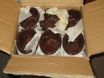 Carlisle S31069 Chocolate 2 Oz. Oval Melamine Ramekin (case Of 48). Fixed Price $25.00.