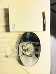 Hand Painted Decorative Dish From Lusso Design. Fixed Price $15.00.