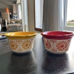 Pioneer Woman 2915DMT Stoneware Ramekin/ Dip Bowls. Set Of. Fixed Price $10.00.