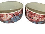 Anthropologie Streaked Sunlight Bowls Salad Cereal Set Of 2 Red Pink Blue. Fixed Price $36.00.