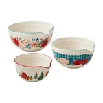 The Pioneer Woman Christmas Wishful Winter 3 Piece Ceramic Mixing Bowl Set. Fixed Price $59.99.