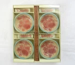 Pier 1 :fiona Chopstick Set. Of 4. Pink Floral Bowls. New Package. Fixed Price $14.95.