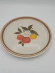 Mikasa Stone Manor Tempting F 5812 Dinner Plate 10 3/4. Fixed Price $8.55.