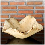 Tamarine 15 3/4" Wide Modern Wood Bowl By Uttermost. Fixed Price $283.20.