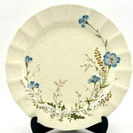 Vintage Home Beautiful Breezy Blues JX102 Stoneware Plate 10.75" Japan. Fixed Price $9.81.