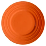 Rachael Ray Double Ridge Tangerine Orange Salad Plate 9489600. Fixed Price $9.99.