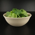 Egs ECO72-PP Greenovations 36 Oz. Papyrus Bowl / Cs-wasserstrom 25881. Fixed Price $54.99.