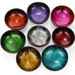 8 Pcs Decorative Coconut Bowl Natural Shell Candy Dish Colored Polish.... Fixed Price $44.92.