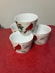 222 Fifth Noella Holly & Cardinal Bowls Lot 4 Hard Find. Fixed Price $30.00.