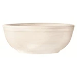 World Tableware 840350035 10 Oz Oatmeal Serving Bowl. Fixed Price $120.89.