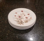Set (5) Noritake, Versatone Outlook 10.5" Dinner Plates B305W10. Japan. Fixed Price $39.95.