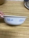 Corning Corelle Friendship Fruit/dessert Bowl. Fixed Price $9.00.