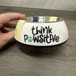 Pawsitive Pets 2 1 Bowl Melamine Stainless Steel Bpa Free Think. Fixed Price $8.50.