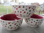Set Of 3 The Pioneer Woman Pretty Posies Stoneware Soup Cereal Bowls. Fixed Price $50.00.