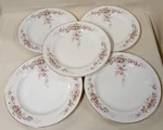 (5) Dinner Plates MUE39 Paul Muller Pink Roses , Tan Scrolls Hutshenruether. Fixed Price $50.00.
