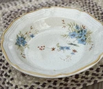 Mikasa Garden Club Day Dreams 8.5" Soup Cereal Bowl Ec 461. Fixed Price $10.99.
