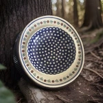 Vintage Polish Pottery 11" Oval Serving Dish Tray Nature Mosquito Boleslawiec. Fixed Price $69.99.