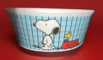 Snoopy & Woodstock Peanuts Ceramic Bowl All Gone Blue Plaid Gibson Overseas. Fixed Price $14.99.