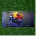 Creative License Plate Auto Tag With And Fruit Bowl On Head. Fixed Price $13.95.