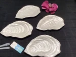 Sigrid Olsen 4 Pc Set Melamine Oyster Appetizer Plates/bowls Shell Beach New. Fixed Price $29.99.