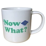 Parker Lane Now What? Graduation Graphic Stoneware Coffee Tea Mug Cup. Fixed Price $15.00.
