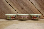 Pioneer Woman Mini Dipping/condiment/prep Bowls.. Fixed Price $16.75.