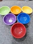 Michael Graves 6 Pc Pinch Set Rainbow Color Melamine .1 Qt Of. Fixed Price $42.90.