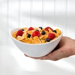 Euro Ceramica Highland Ramen Bowl Set Of 2. Fixed Price $12.99.
