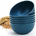 Unbreakable Cereal Bowls 24 Oz, Plastic Reusable Light Weight Bowl, Set Of 6,LIG. Fixed Price $11.16.