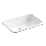 Kohler K-2214-0 Laboratory Sink, 18" X 12" Bowl, Porcelain. Fixed Price $369.99.