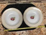 2 Noritake Impromptu Sonoma Gardens 3/8" Lipped Soup Salad Bowl Sri Lanka 7936. Fixed Price $10.00.